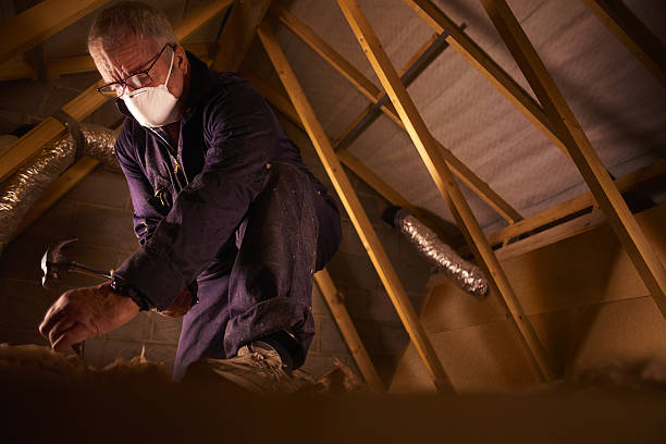 Best Cellulose Insulation in Jonesborough, TN
